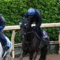 【宝塚記念】２２００メートルの阪神４Ｒから見る馬場傾向は？　クロワデュノールの古馬Ｇ１春３冠を後押しか