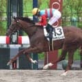 【関東オークス】全日本２歳優駿で２着のタマモフリージアは５枠８番　佐賀のサキドリトッケンは７枠１１番