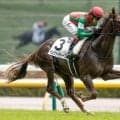 【東京5R新馬戦結果】エフフォーリア産駒ベルウッドディープが完勝