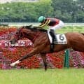 【阪神５Ｒ・２歳新馬】２億４０００万円の高額馬など撃破！インカルナータ逃げ切りＶ　坂井騎手「上がりも優秀」