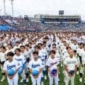 西東京大会の組み合わせが決定