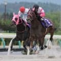 【水沢・ウイナーカップ】リアルラインが重賞連勝へ…水沢1400mでハヤテスプリント優先出走権をかけた一戦