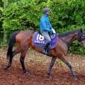 【宝塚記念】２４年有馬記念馬で５番人気レガレイラは７着　グランプリ２勝目はならず　今回が５か月半ぶりの復帰戦