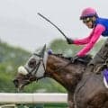 【宝塚記念】武豊メイショウタバルが連覇達成！直前の大雨による重馬場も味方に快走…2週連続ユタカマジックが炸裂