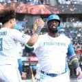 【日本ハム】好調レイエス、11試合連続安打「コーナーに投げてくると分かっていた」涌井撃ち13号
