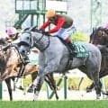 【府中牝馬S】コガネノソラ、ニシノティアモなどが登録