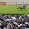 宝塚記念直前にゲリラ豪雨...視界は真っ白で屋内に逃げ込む観客が続出　騎手はカッパ用意できずビショぬれ