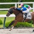 【阪神1R】11番人気アルビオンが波乱を演出…デムーロ騎手導く鮮烈差し切りV