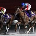 【関東オークス】JRAタマモフリージアは5枠8番