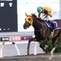 【高知優駿】単勝1.1倍カツテナイオイシサが堂々2冠、次なる目標は三冠制覇