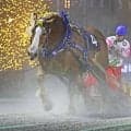 【ばんえい・北斗賞】ツガルノヒロイモノが悲願の重賞初制覇、19度目の挑戦で歓喜