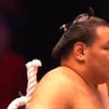 豊昇龍のこんな“素敵な笑顔”見たことない 横綱がパリ公演の声援に最高の“ファンサ”で応じる カメラが捉えた珍しい一コマ