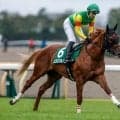 【しらさぎS見どころ】古馬との混合でも力は互角以上のエコロアルバ