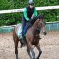 【しらさぎＳ・理貴の特注馬】初代王者キープカルムが連覇へ上々の仕上がり　陣営「今年の方が馬がしっかりしている」
