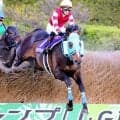 障害界の絶対王者オジュウチョウサンが２６年度の顕彰馬に選定　史上最多のＪＧ１・９勝　　ＪＲＡ発表