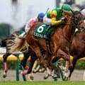 【しらさぎS想定騎手】エコロアルバは横山和生騎手、ファンダムは北村宏司騎手