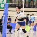 インターハイ2026　全国各地で予選開催中【6/8～6/14・出場校一覧】