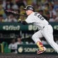 阪神・嶋村の良さは思い切り　代打で結果「今はベンチに座っている時間もいい勉強」狩野恵輔氏が期待