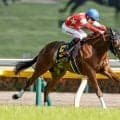 【府中牝馬S展望】前走強豪相手に3着のルージュソリテールが重賞初制覇へ