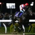 帝王賞選定馬が発表 カゼノランナーやディクテオンなど16頭