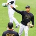 【阪神】育成ルーキーが藤川監督の前でブルペン入り　神宮僚介「かなり貴重」１軍試合前練習参加