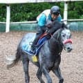 【しらさぎＳ】実績馬ミニトランザットが重賞初制覇狙う　夏のマイル王へ杉山佳調教師「格好はつけてもらいたい」