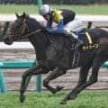 ディープ産駒が17年連続のJRA重賞制覇なるか しらさぎSに良血3頭が出陣！