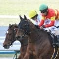 【しらさぎS予想オッズ】ベラジオボンドが予想1番人気