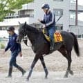 【府中牝馬Ｓ】「ヒヤヒヤする展開」と陣営　前走はゴール直前まで追えずも鮮やかに差し切ったエストゥペンダ