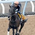 【しらさぎＳ】除外対象のテリオスララは２走前に逃走Ｖの武豊騎手が…　府中牝馬との両にらみで巻き返しへ