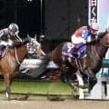 【川崎競馬】単勝１・６倍のハーフブルーが川崎ＳＳ逃げ切りＶ　御神本騎手「短いところなら活躍してくれる」