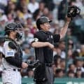【審判員の安全整備】ミズノ「軽くて通気性も良くしっかり守れる」審判専用ヘルメット製作目指す