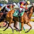 【府中牝馬S】セキトバイーストが史上3頭目の連覇に挑戦