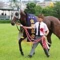 【注目馬動向】石橋調教師「競馬の神様っているのかな」　宝塚記念制覇のメイショウタバルは１週間以内に放牧へ