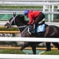 【函館記念・１週前】喉頭蓋エントラップメント手術から復帰のエコロディノスが好気配　池添謙一騎手「ギアを上げるため…」