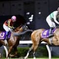 【関東オークス】ペンダント1位入線