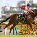 【府中牝馬S予想】中穴人気が好走する一戦 AIが注目した一頭は