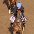 【関東オークス】１番人気のタマモフリージアは４着　２年ぶりＶならずも田口貫太騎手「まだまだやれるし、これからの馬」