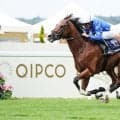 【プリンスオブウェールズS】オンブズマンが4馬身差の圧勝！ダリズ、ミニーホークを完封
