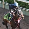 【ＰＯＧ】叔母はショウナンザナドゥ　牡馬との対戦を選択したミエルモーサに松下調教師は手応え十分
