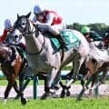 【注目馬動向】葵Ｓ勝ちのデアヴェローチェは北九州記念へ　大物候補モンローウォークはかもめ島特別で無傷３連勝狙う