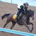 【府中牝馬Ｓ】ニシノティアモは単走でパワフルな脚さばき　上原佑調教師「できれば稍重ぐらいまでで…」