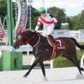 【園田ＦＣスプリント】高知のフクノユリディズが逃げ切って重賞２勝目　上位３頭まで高知勢独占