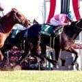 ”キング姐さん”と重賞２勝　サクラトゥジュールが競走馬登録を抹消　金沢競馬に移籍へ