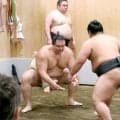 左足甲のけがで夏場所休場の元大関・朝乃山　名古屋場所は「なんとかなる」　相撲取れない状況続くも出場へ意欲