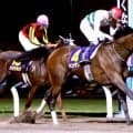 【岩田康誠の熱血！！競馬道】父子ワンツー決めた関東オークス　「望来はデビュー８年目になりますが...」