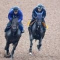 【府中牝馬Ｓ】Ｇ１級３勝ノッてる「タナパク厩舎」ヴァルキリーバース上昇