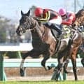 【府中牝馬S枠順確定】ヴァルキリーバースは3枠6番、ルージュソリテールは8枠15番