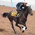 【府中牝馬Ｓ・金曜気配】テリオスララは両にらみからここ選択　田島調教師は「総合的に決めた」と説明　調整は順調