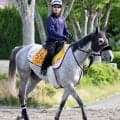 【府中牝馬Ｓ・金曜気配】コガネノソラは活気十分にＷコースで調整　菊沢調教師は手応え十分「元気が良かった」